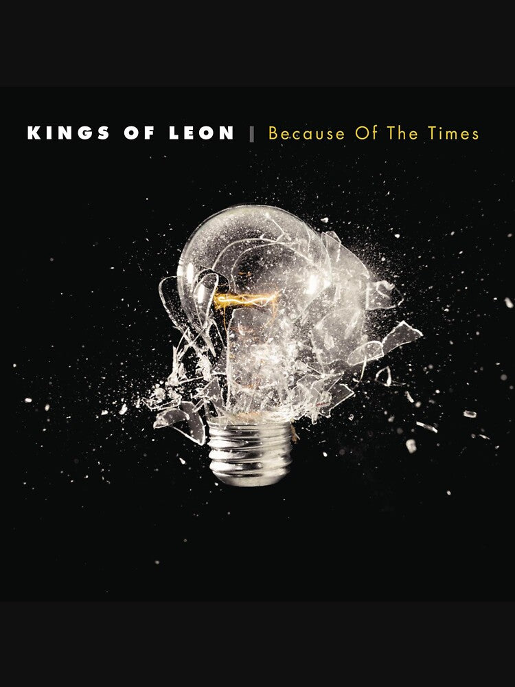 Album Kings Of Leon Because Of The Times Music by larsimone