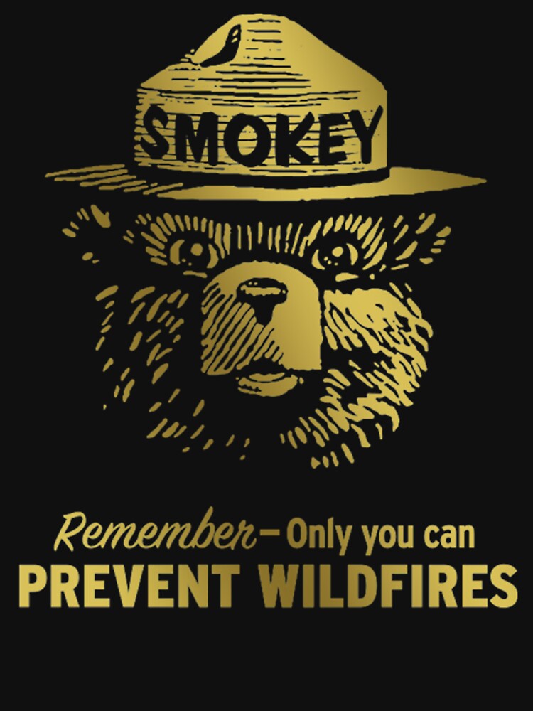 Smokey The Bear - Prevent Wildfire by theresaklorie