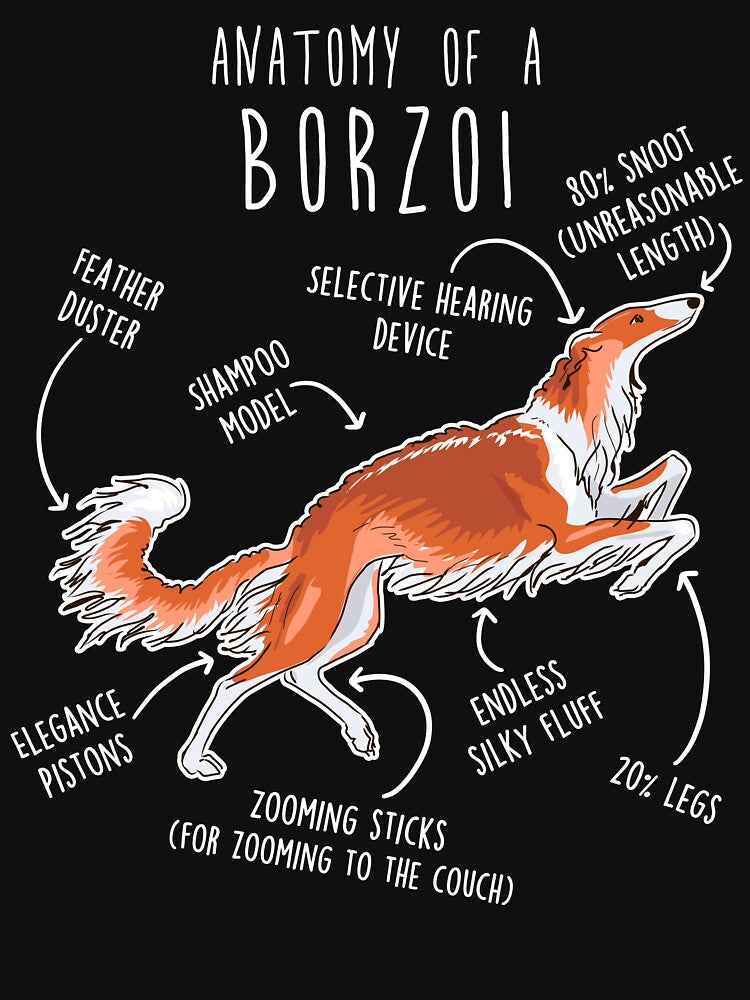 Red Borzoi Dog Anatomy by Clara Hollins