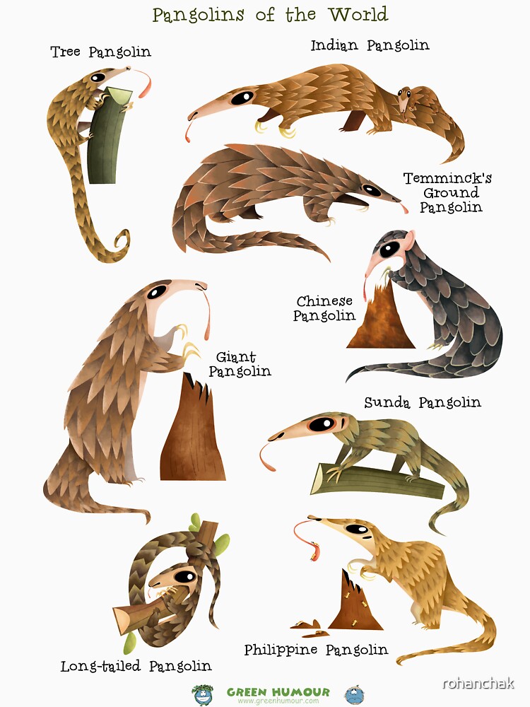 Pangolins of the World by Green Humour