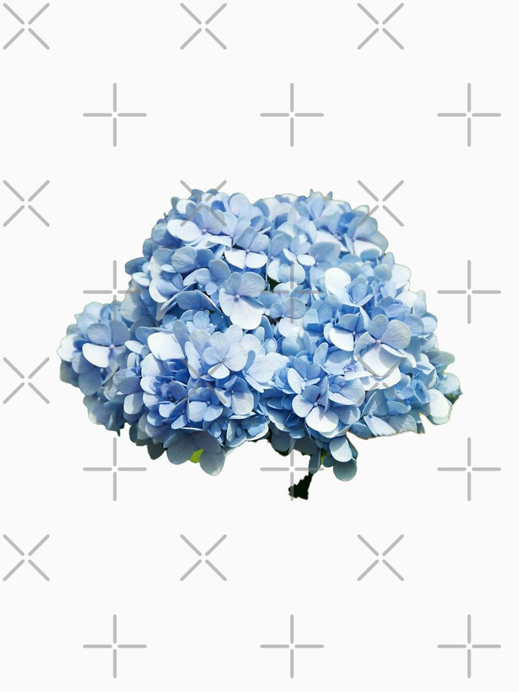 blue hydrangea by rinamg
