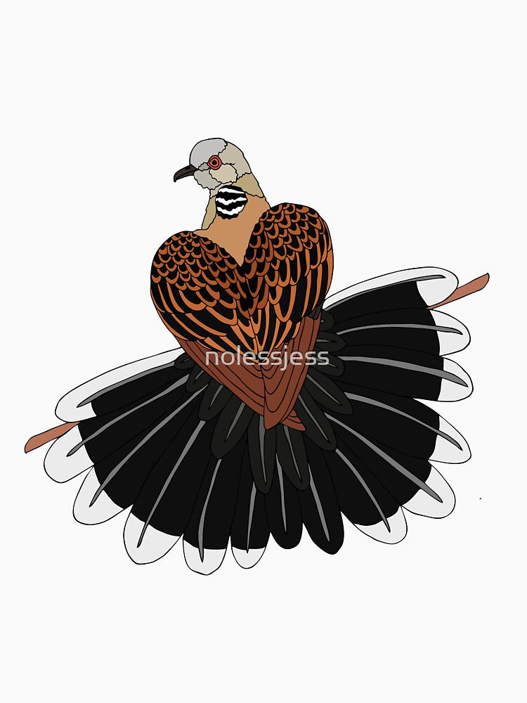 Turtle Dove by nolessjess