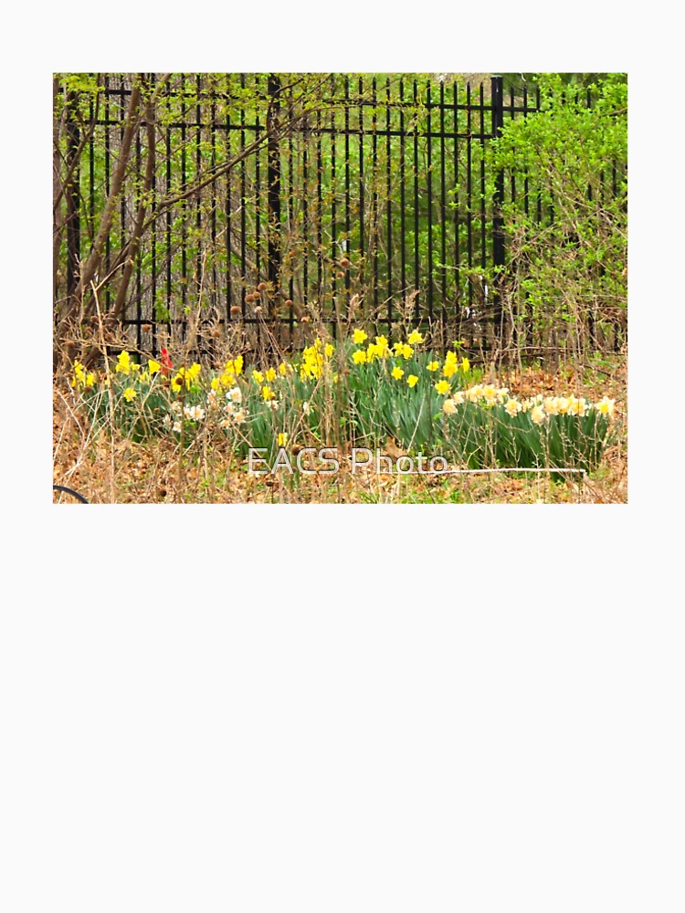 Springtime Beauty in the Rough by EACS61 Nature Photography