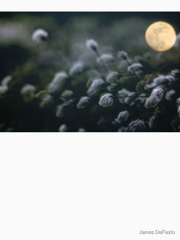 Cotton Flowers In The Moonlight by James DeFazio