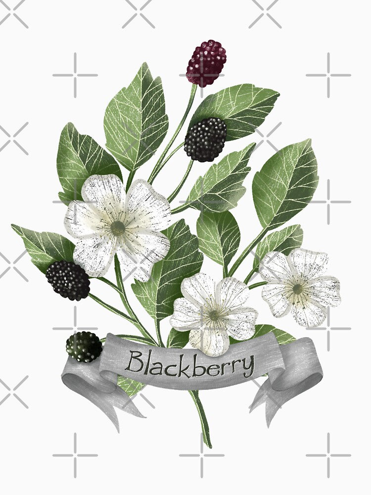 Blackberry botanical drawing by pinkyfish1010