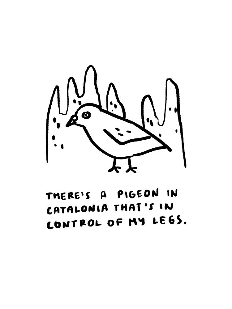 There's a Pigeon in Catalonia That's in Control of my Legs by 4naans
