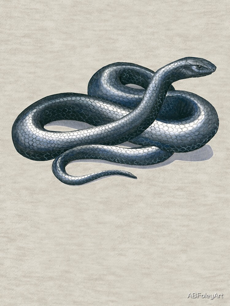 Eastern Indigo Snake Illustration by ABFoleyArt