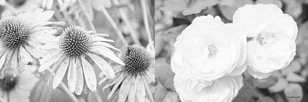 Roses And Coneflowers Print