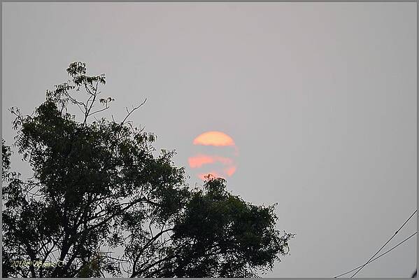 Setting Sun At Meher Retreat Print