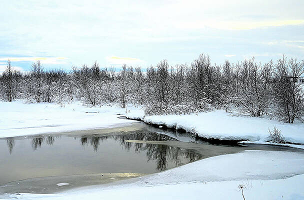 Snowy Landscape With Lake Reflecting Forest In Iceland Print