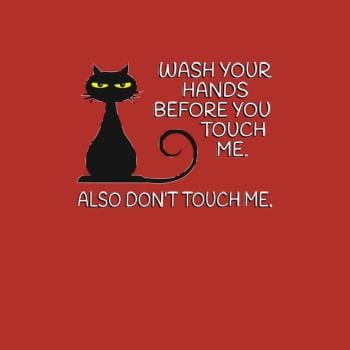Wash Your Hands Before You Touch Me. Also Don't Hoodie