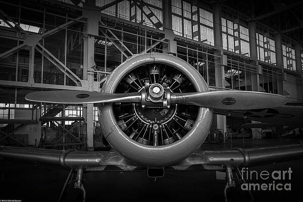 T6 Texan Print