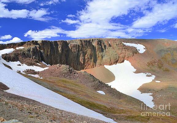 The Tundra Print