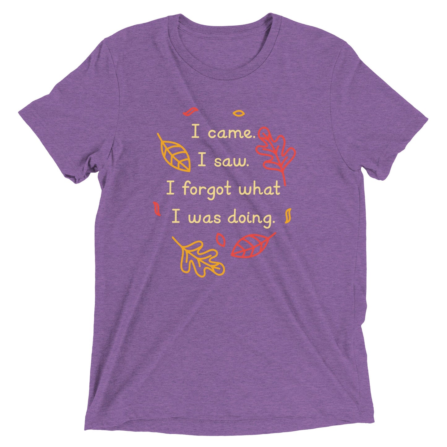 I Came. I Saw. I Forgot What I Was Doing. Men's Tri-Blend Tee