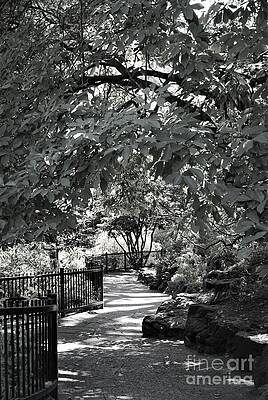 Urban Nature Trail No. 2 Print