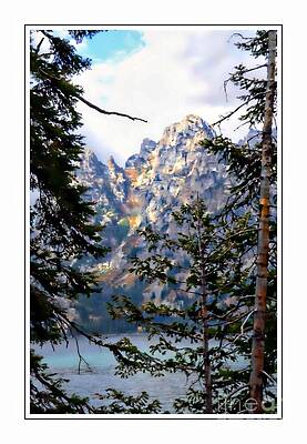 View Between The Trees Print