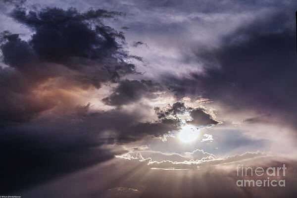 Watching From Above Print