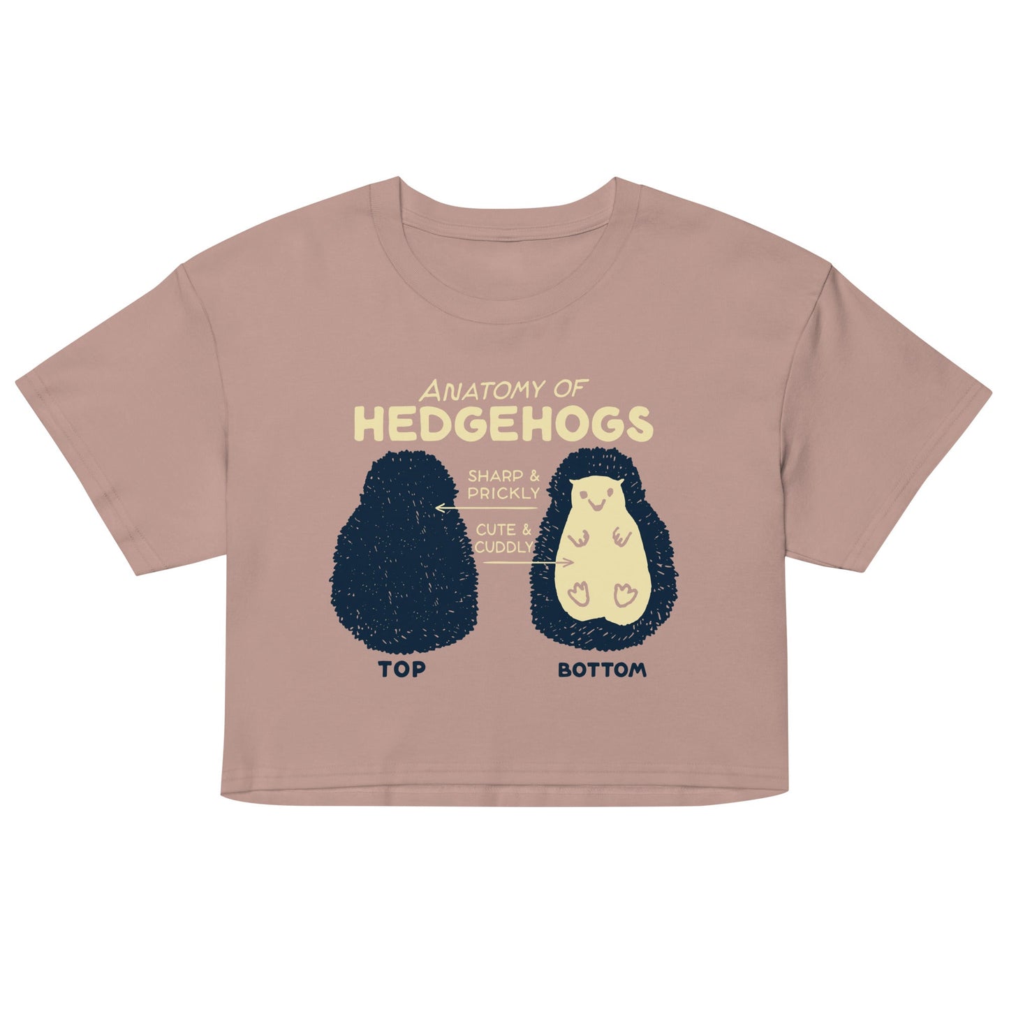 Anatomy Of Hedgehogs Women's Crop Tee