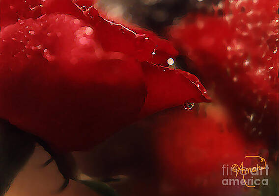 Red Roses Print