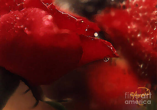 Red Roses Print