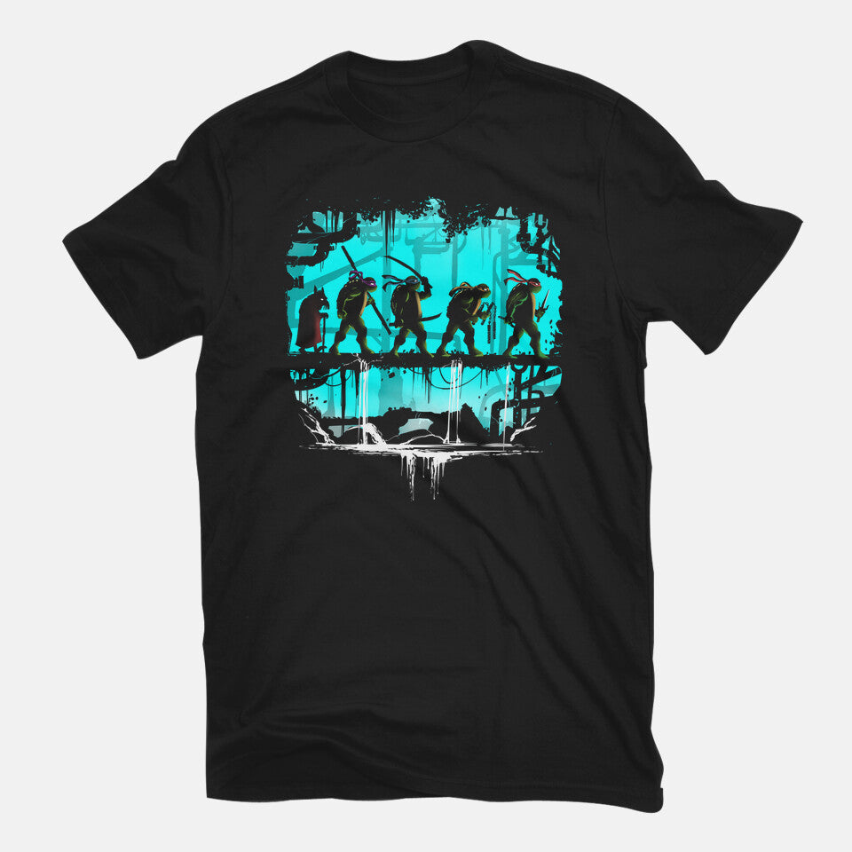 The Fellowship Of The Turtles