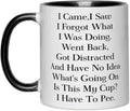 Funny Senior Citizens Coffee Mug,I Came I Saw I Forgot What I Was Doing,Funny Sarcastic Gifts for Old People Elderly Mom Dad Grandma Grandpa Husband Wife Coworker Birthday Christmas Gift White 11oz