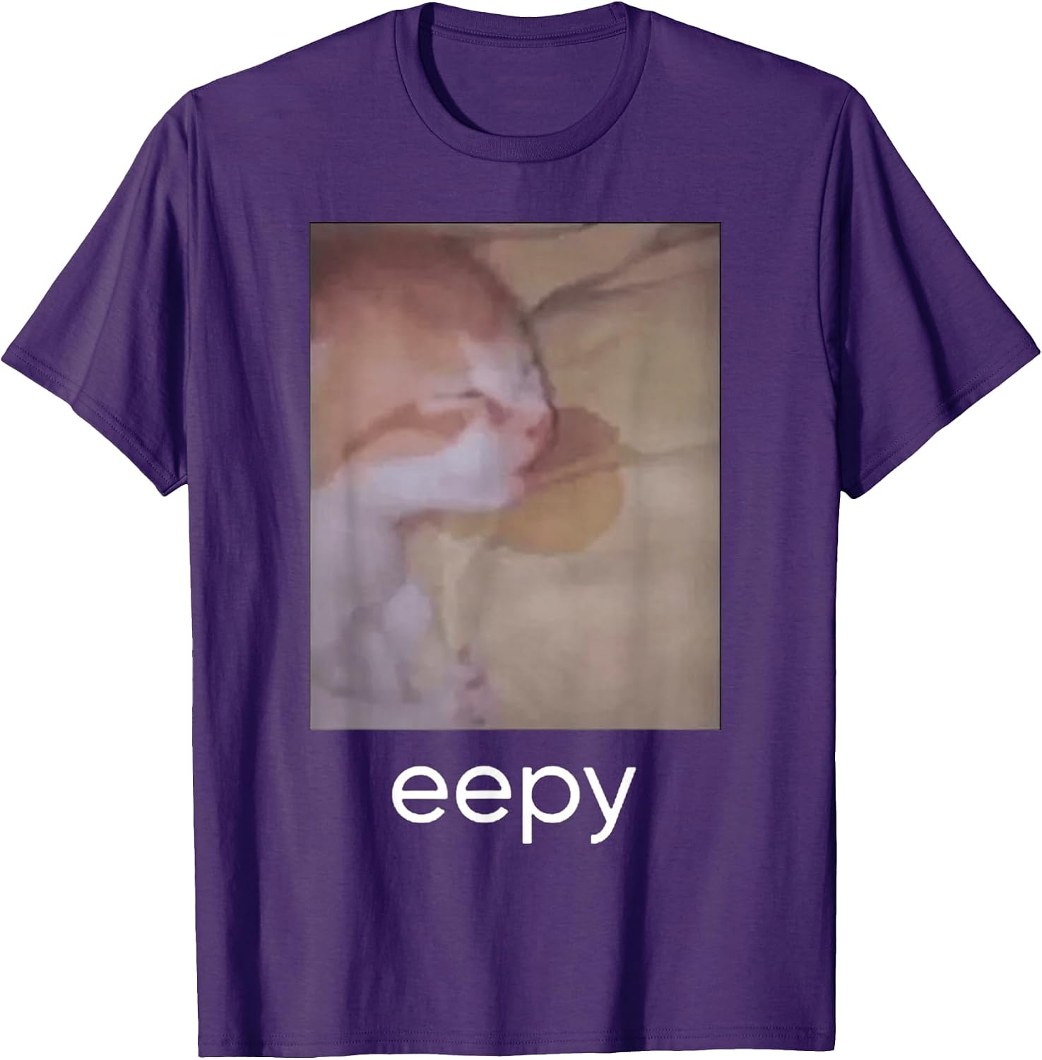 Eepy Funny Cat Meme Eepy Cat Saying
