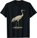Sandhill Crane Antigone Canadensis Bird Refers