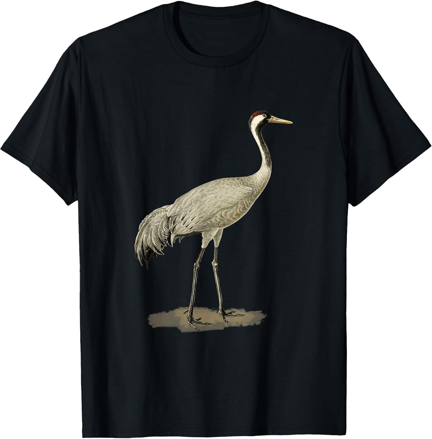 Sandhill Crane Antigone Canadensis Bird Refers