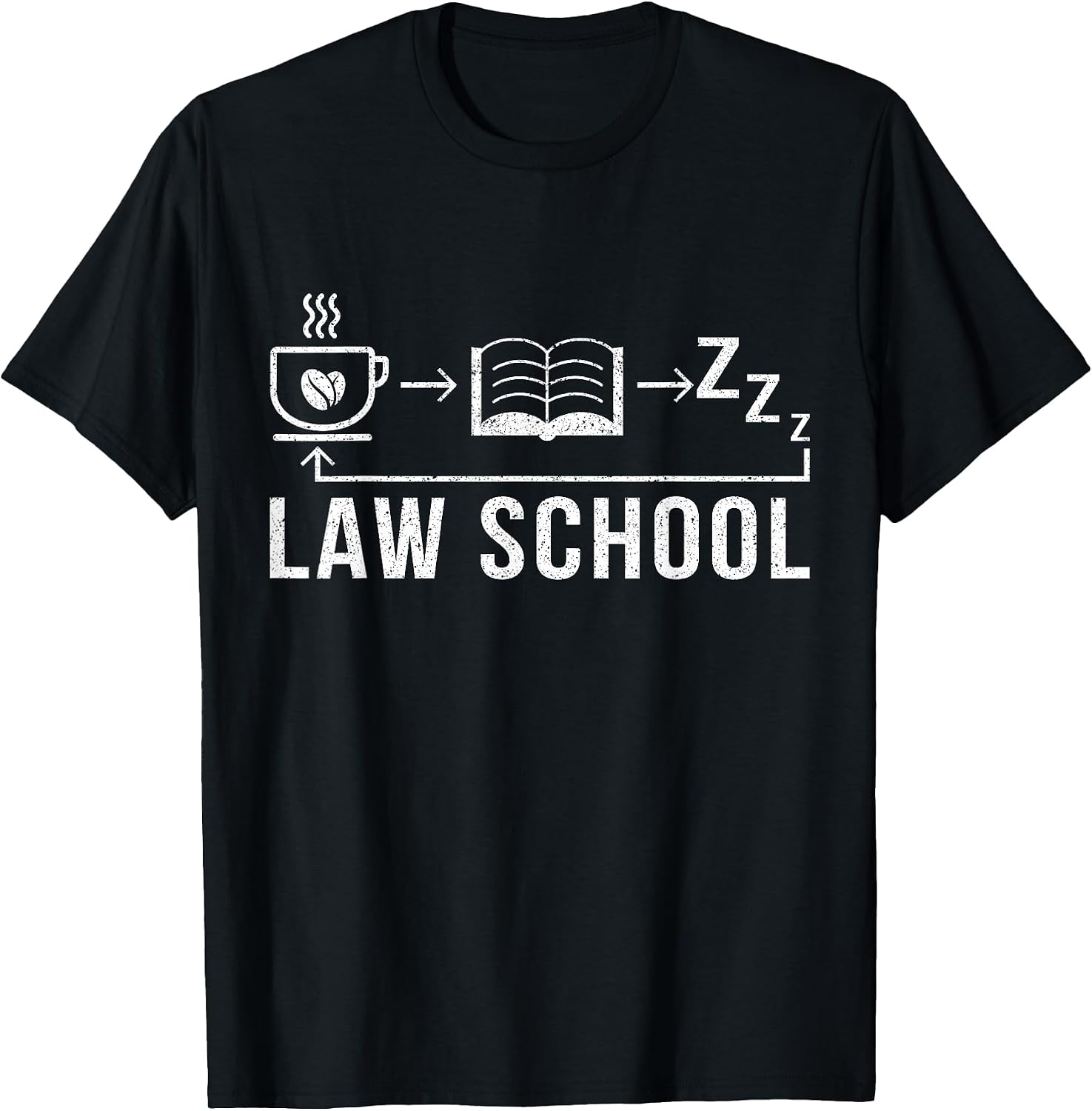 Law School Student Lawyer
