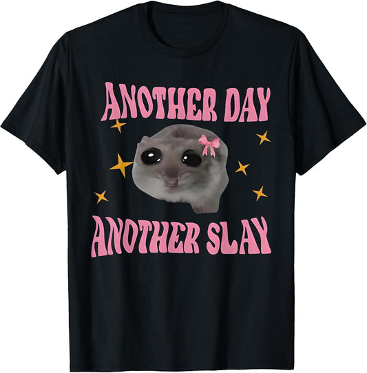 Another Day Another Slay Sad Hamster Meme Funny