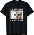 I'm Here Live I'm Not A Cat Lawyer Hilarious Meme