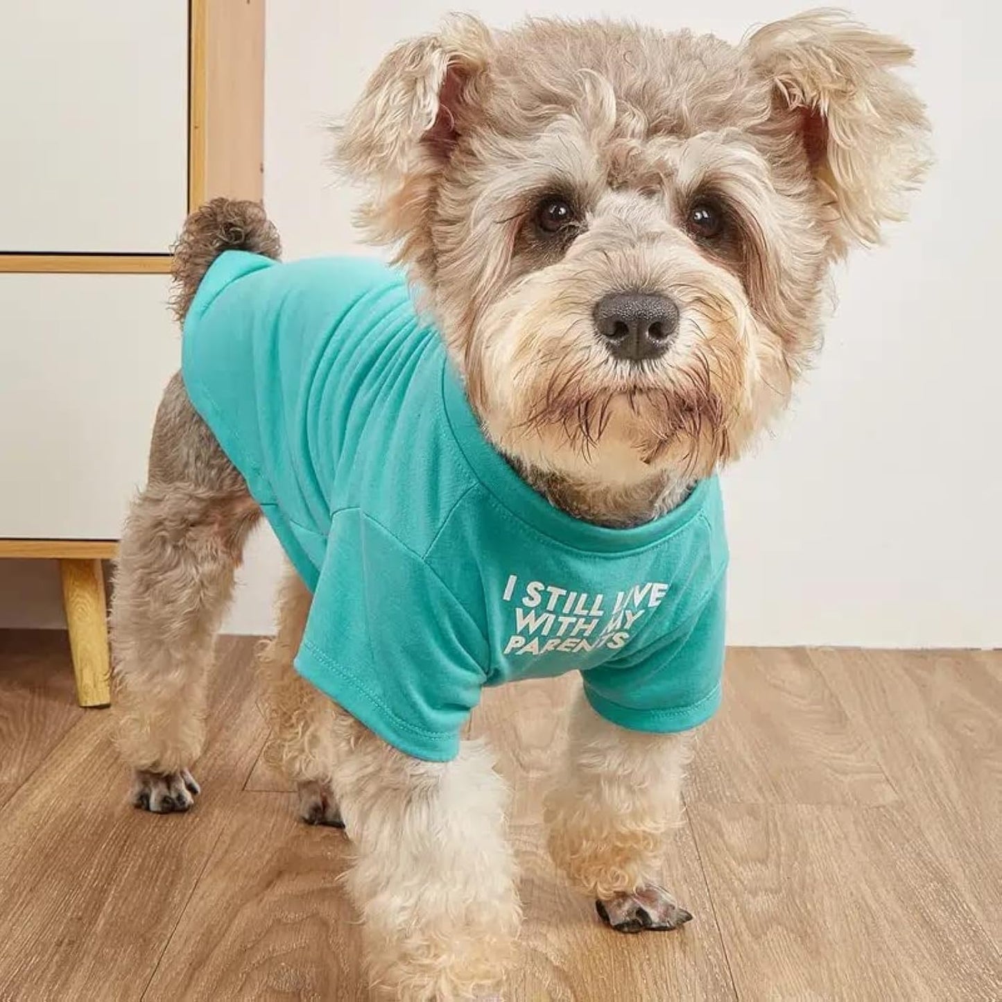 Cute Dog Clothes, T Shirt for Medium and Small Dogs Girl Boy,Puppy.Breathable Soft Dog Costume for Pet Dogs Cats, Pet Pullover Jumper, Cat Clothes (XL-(16~20lb), Chest~20", Aqua)