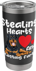 Stealing Hearts & Blasting Farts - Rottweiler Puppy Owner Stainless Steel Insulated Tumbler
