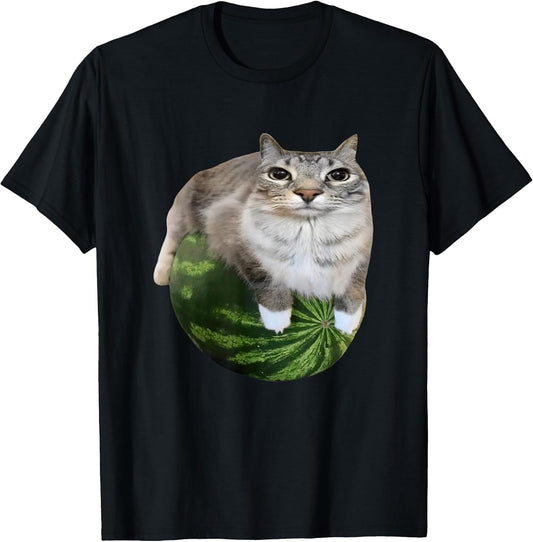 Funny Silly Cat Memes by The Meme Factory