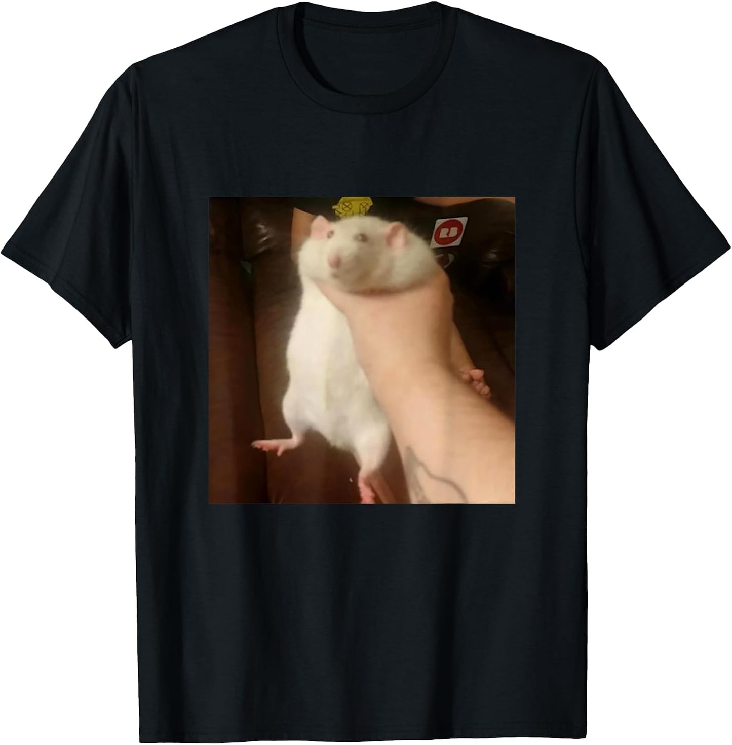 Cute Fat Rat Being Grabbed Meme