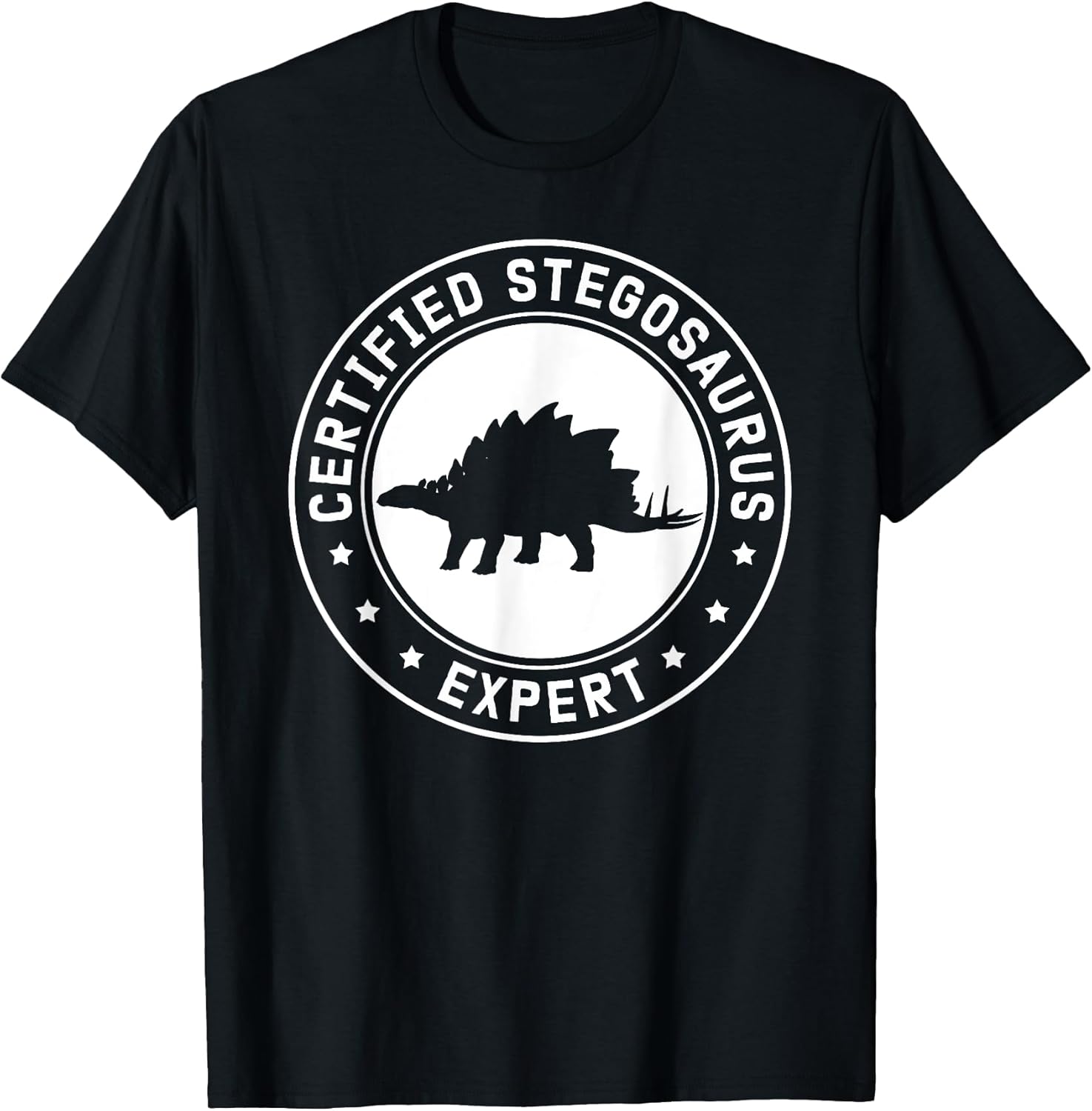 Stegosauri Dinosaurs Lover Gifts Merch