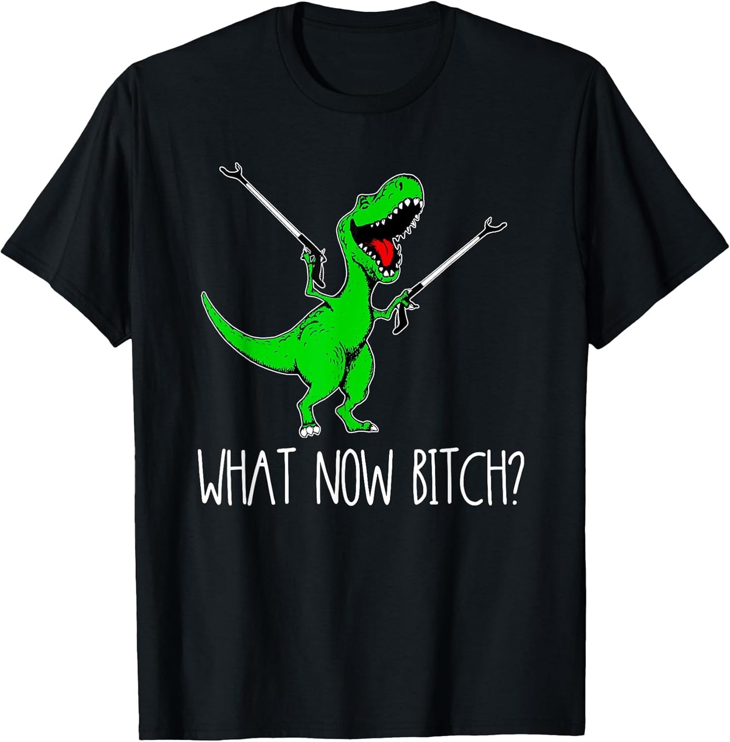 What Now Bitch Funny T Rex Dinosaur