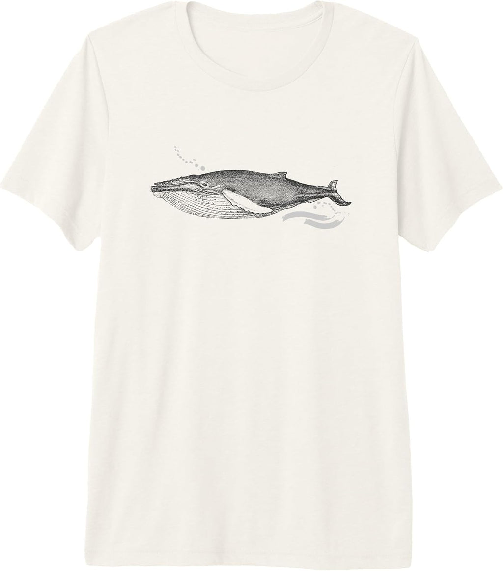 Save The Whales Sea Wildlife