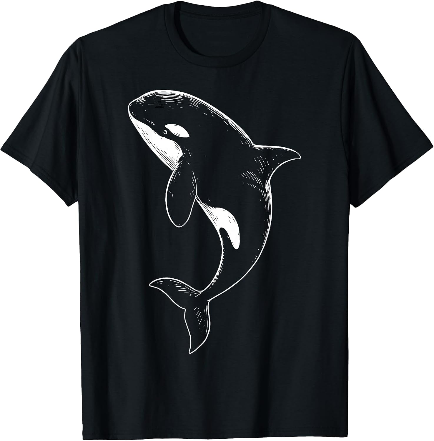Aquatic Animal Ocean Underwater Scuba Diver