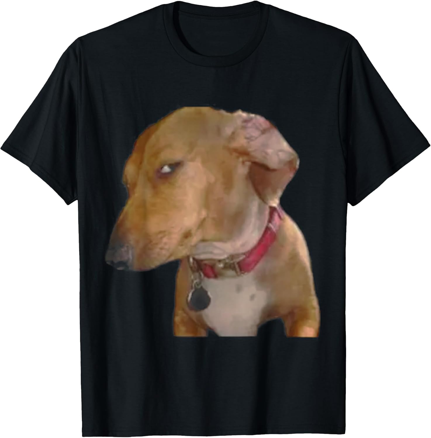 Bombastic Side Eye Dog Funny