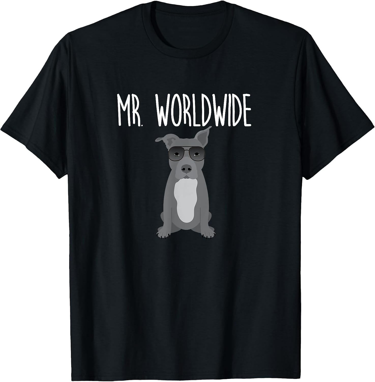 Mr. Worldwide Funny Pitbull Tshirt T-Shirt