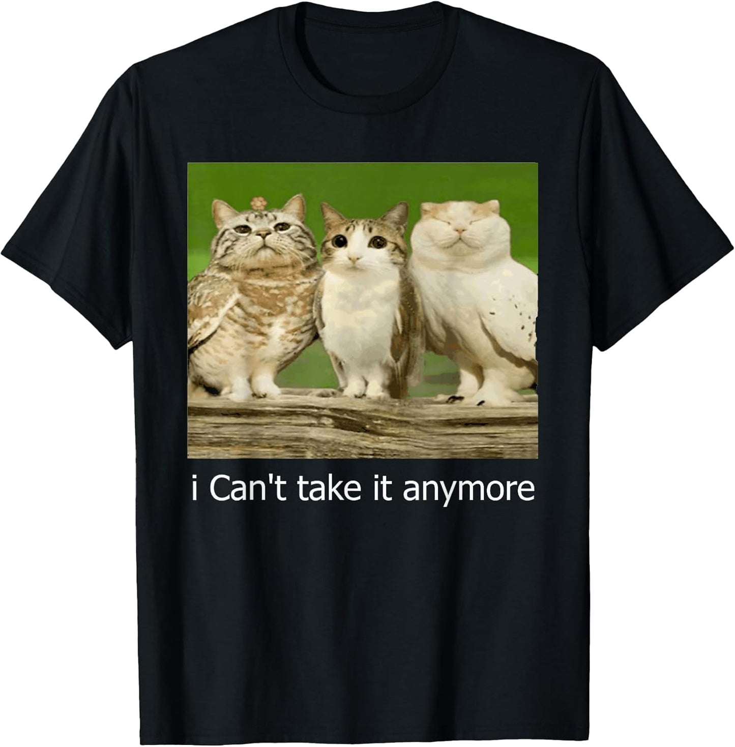 Cat Meme Funny Meowl