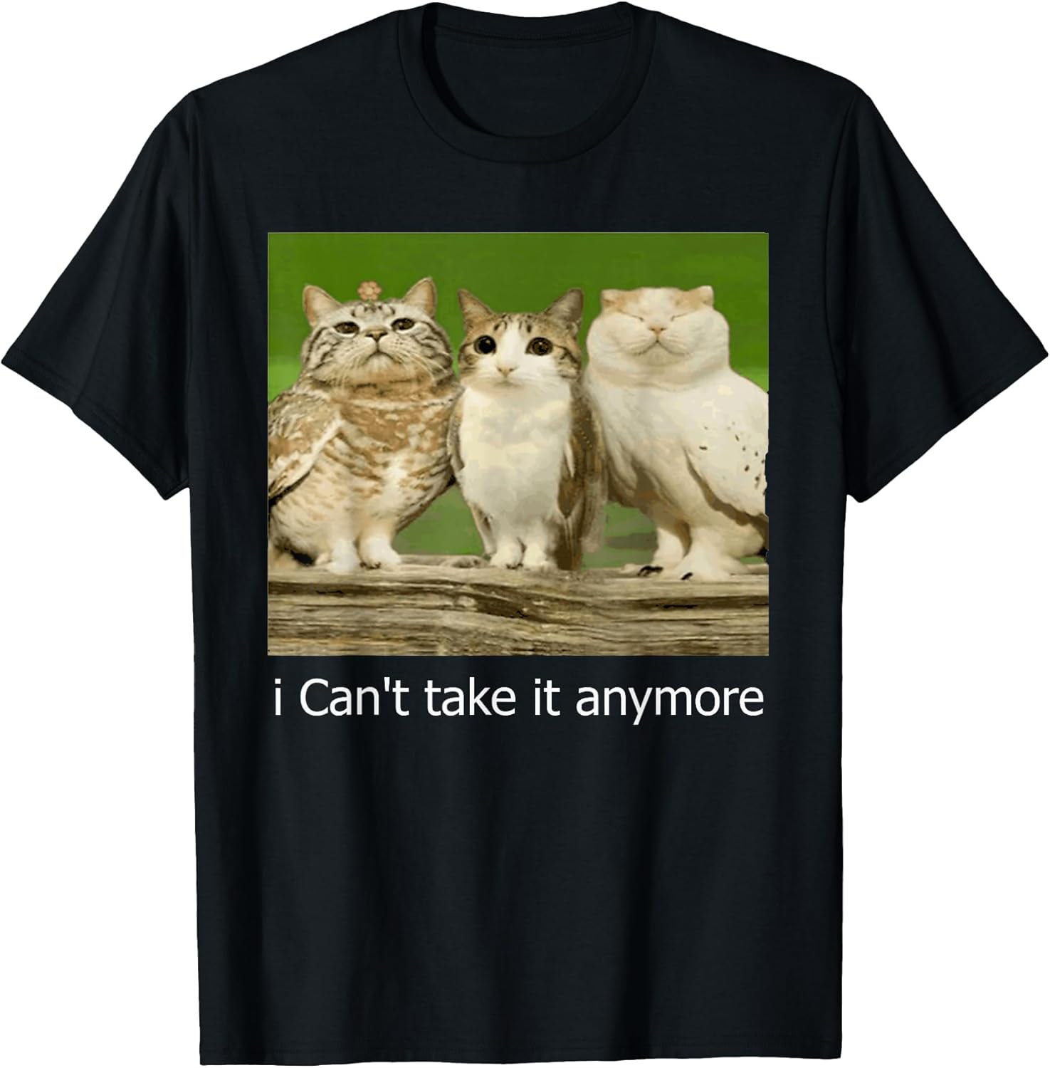 Cat Meme Funny Meowl