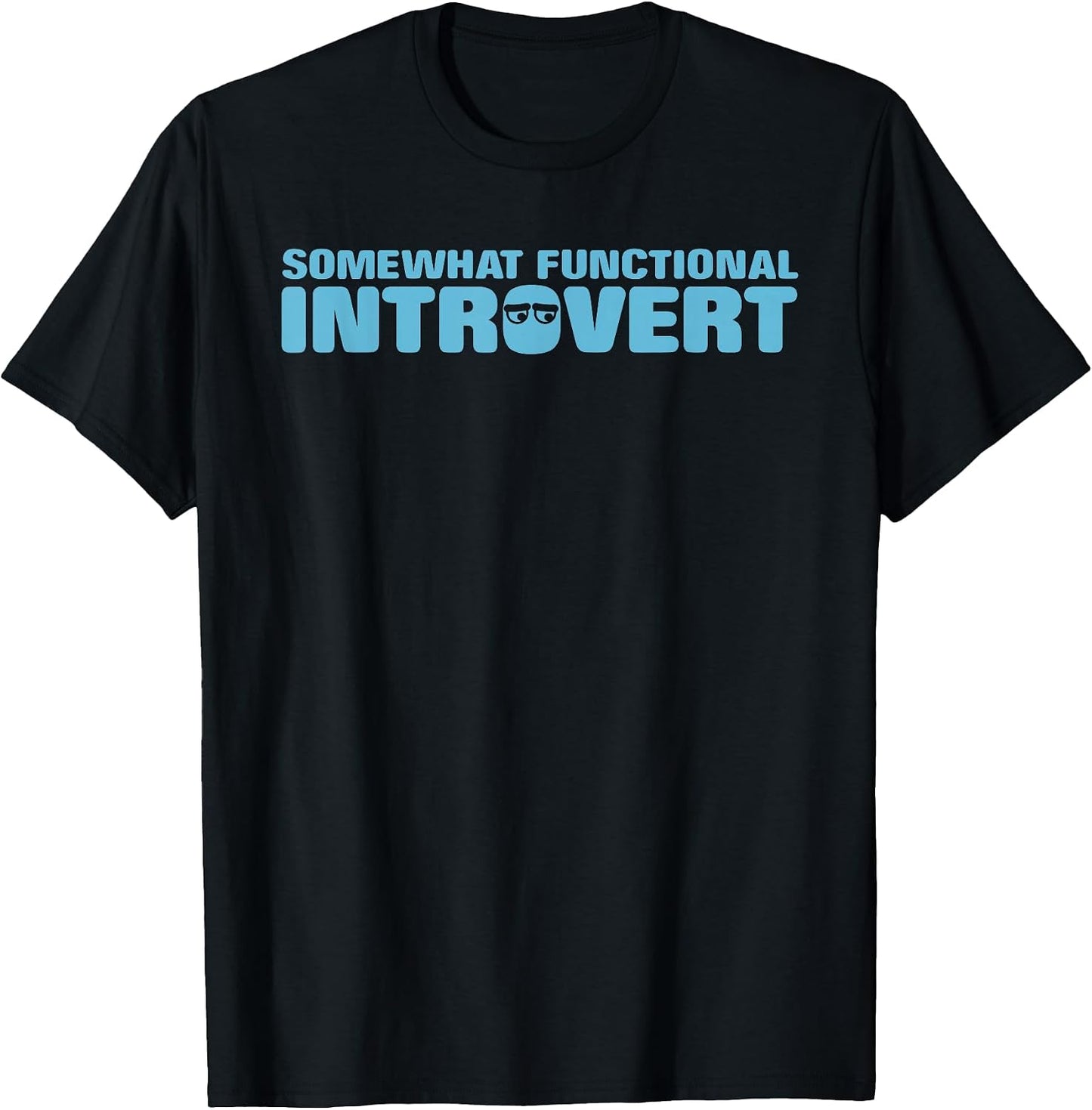 SOMEWHAT FUNCTIONAL INTROVERT