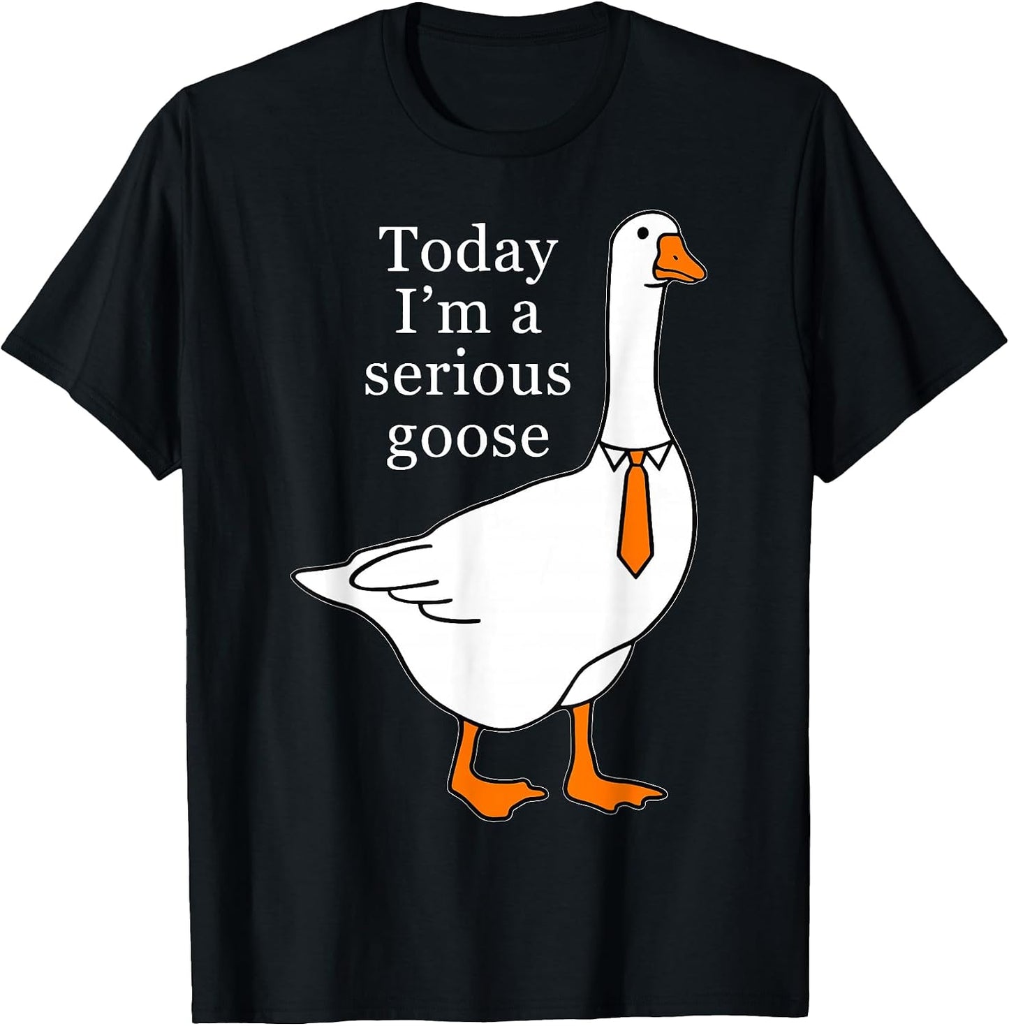 Today I'm A Serious Goose t -shir t