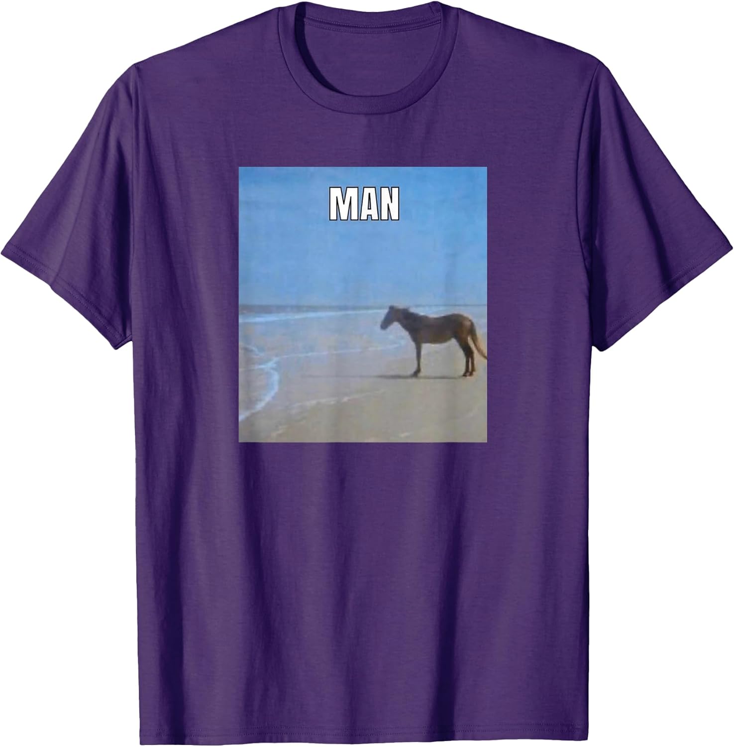Man Horse Memes