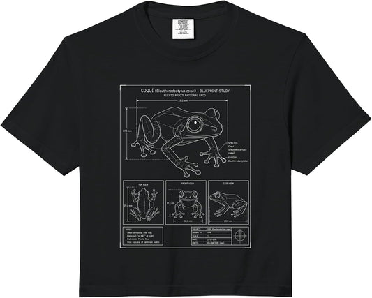 Island Amphibian Nature Sketch Wildlife Merch.