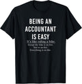 Funny Accountant Co
