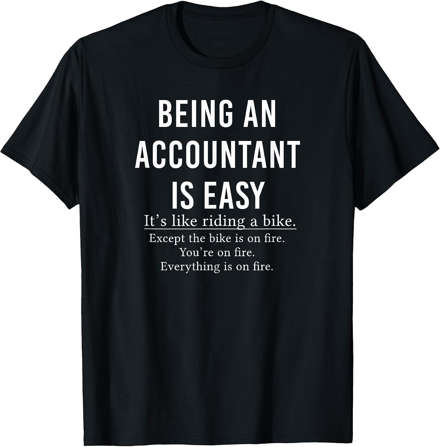 Funny Accountant Co